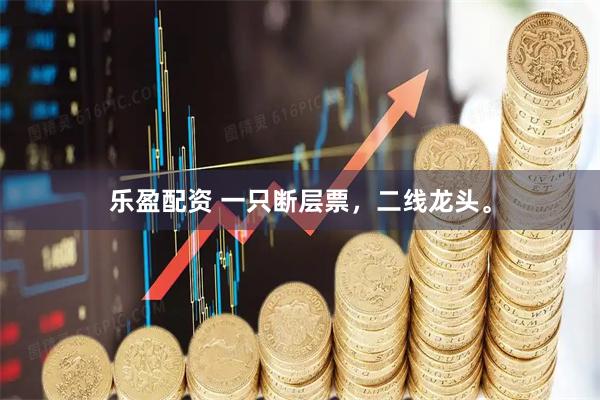 乐盈配资 一只断层票，二线龙头。