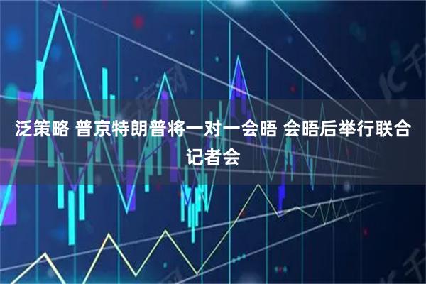 泛策略 普京特朗普将一对一会晤 会晤后举行联合记者会