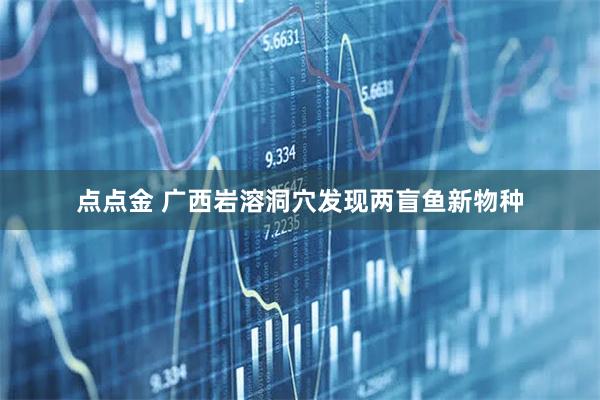 点点金 广西岩溶洞穴发现两盲鱼新物种